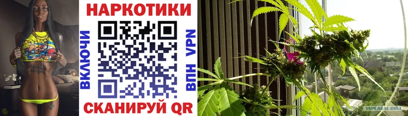 Купить наркотики Киселёвск СК ГАШ Канабис