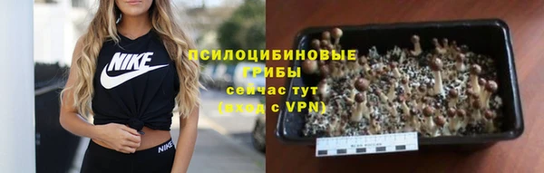 СК Нягань