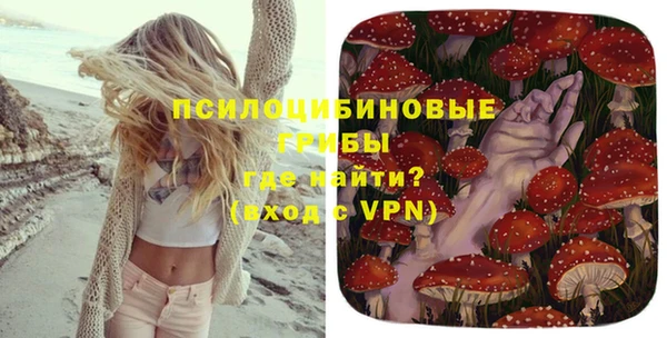 гашик Нязепетровск