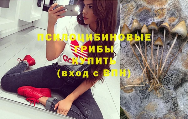 молекула духа Карабаново