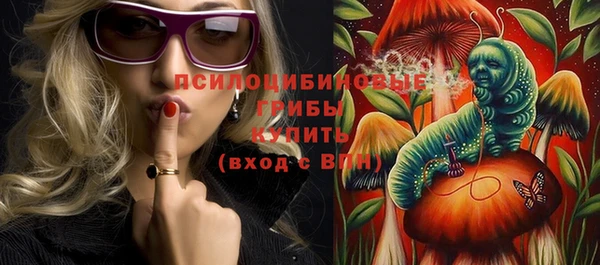 гашик Нязепетровск
