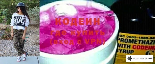 apvp Вяземский