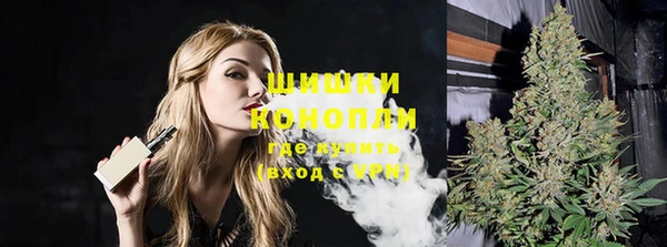 твердый Горняк