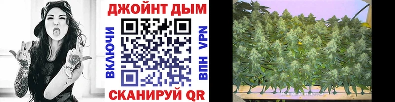 Бошки марихуана сатива  сколько стоит  ОМГ ОМГ ссылка  Киселёвск 
